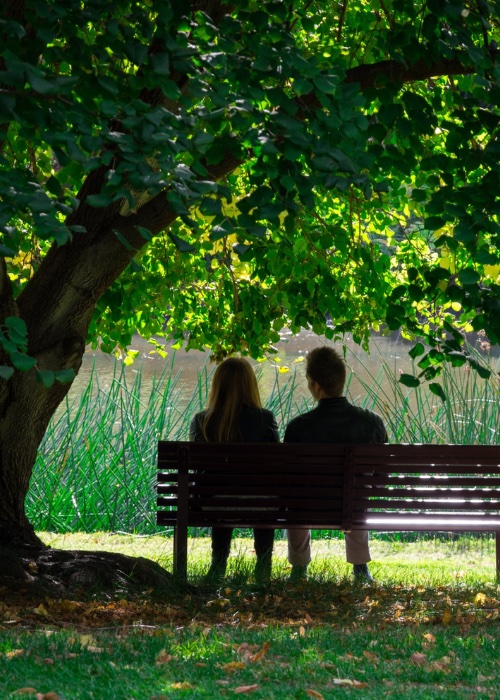 two people sitting on park bench